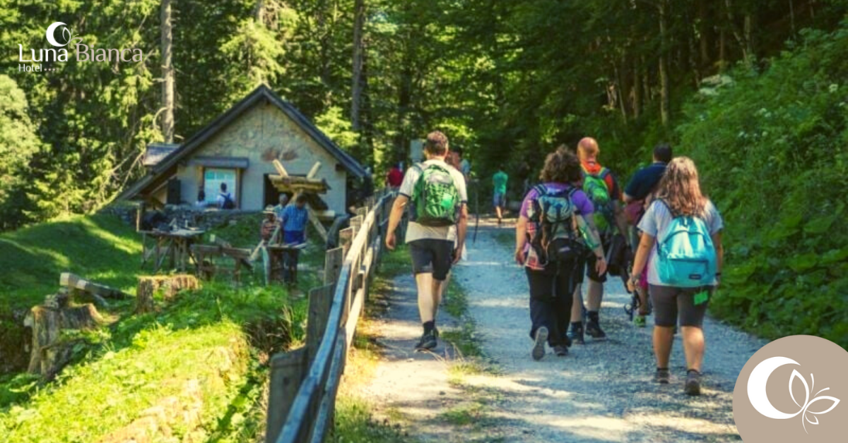 Cosa fare a Folgaria con i bambini
