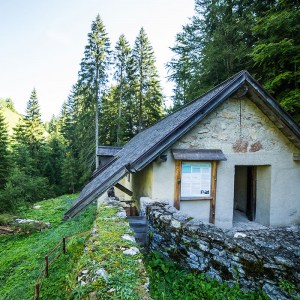 Sum_segheria_del_mein_tezzeli_2017_Gober-(4)